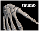 dorn thumb selfhelp exercise